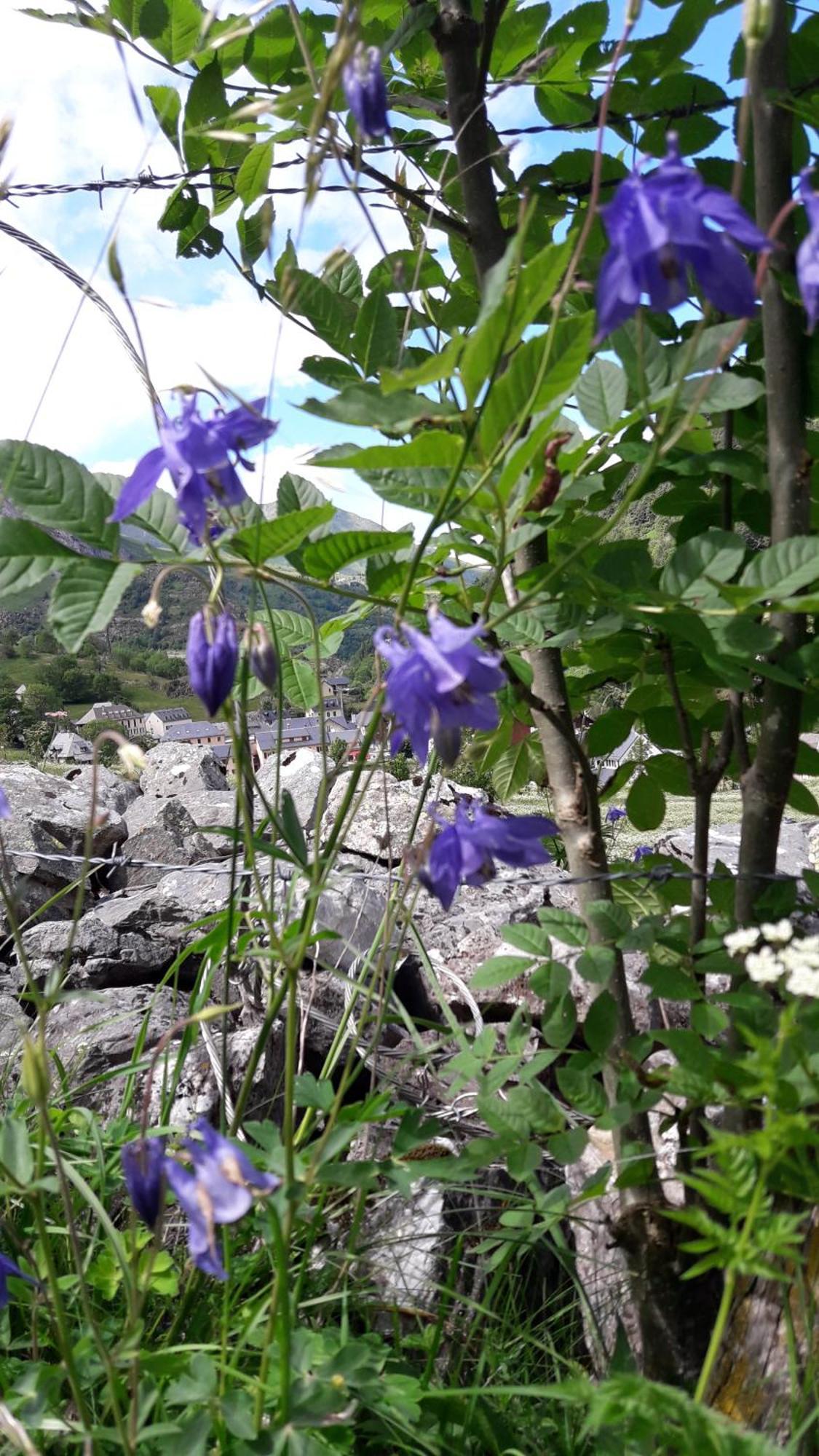 D'hôtes L'astazou Couette-café Gavarnie